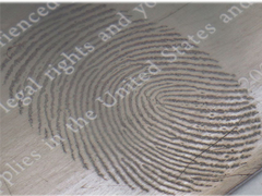 System metalizowania pod wysoką próżnią, jednostka powłoki parowania termicznego do obrazowania śladów palców